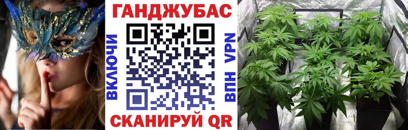 где можно купить   Солнечногорск  Бошки марихуана SATIVA & INDICA 
